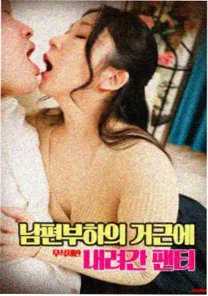 灰阶档案 免费在线播放